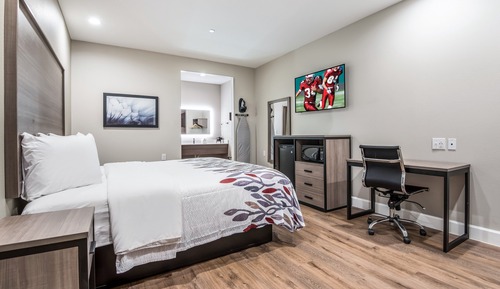 Suite, 1 cama de matrimonio grande, no fumadores