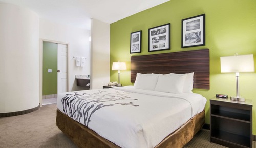Habitación estándar, 1 cama de matrimonio grande, no fumadores