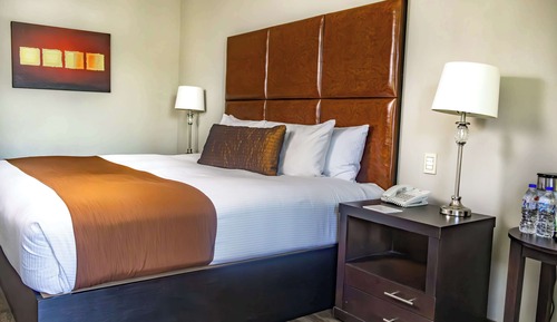 Habitación estándar, 1 cama de matrimonio grande, no fumadores, microondas