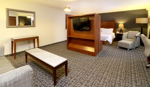 Suite, 1 habitación
