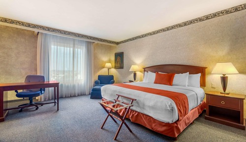 Habitación estándar, 1 cama de matrimonio grande, no fumadores