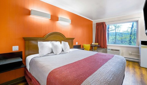 Habitación estándar, 1 cama doble, fumadores, frigorífico y microondas
