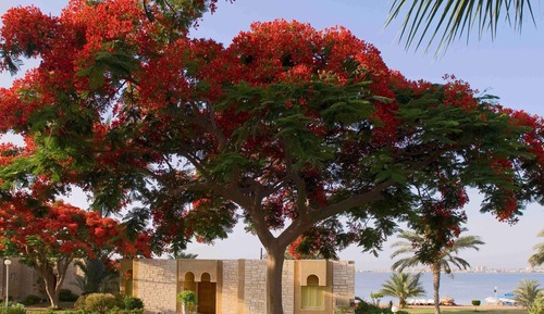Villa, 3 habitaciones