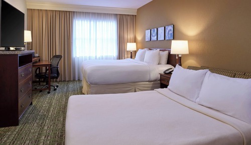 Suite, 1 cama de matrimonio grande con sofá cama