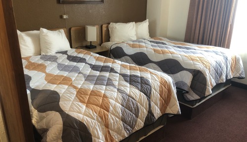 Habitación Deluxe con 2 camas individuales