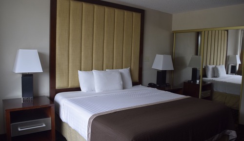 Suite Premium, 1 cama de matrimonio grande (No Pets Allowed)