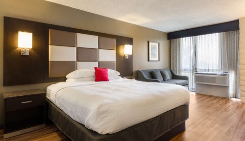 Habitación, 1 cama de matrimonio grande con sofá cama