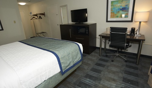 Habitación estándar, 1 cama de matrimonio grande