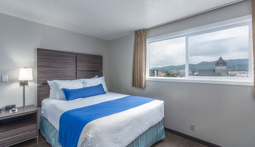Economy room, 1 Queen bed, No View