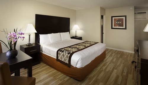 Habitación estándar, 1 cama de matrimonio grande