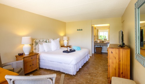 Habitación estándar, 1 cama de matrimonio grande