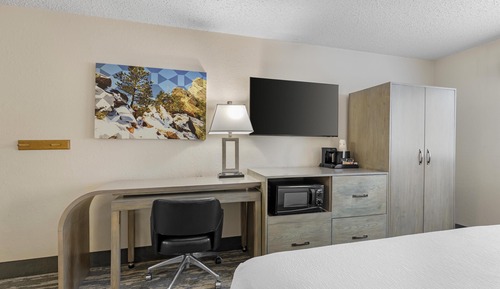 Habitación estándar, 1 cama de matrimonio grande, frigorífico y microondas