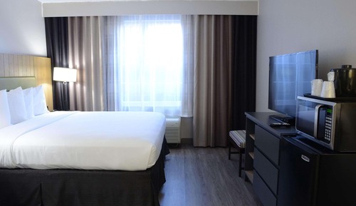Suite estudio, 1 cama de matrimonio grande con sofá cama, no fumadores