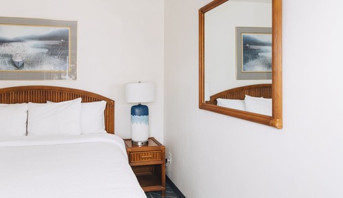 Room, 1 King Bed