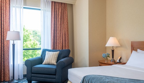 Habitación estándar, 1 cama de matrimonio grande