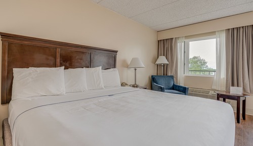 Habitación estándar, 1 cama de matrimonio grande