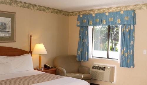 Habitación Premium, 1 cama de matrimonio grande