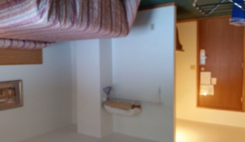 Habitación Deluxe, 1 cama de matrimonio