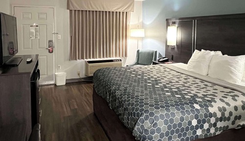 Habitación estándar, 1 cama de matrimonio grande, accesible para personas con discapacidad