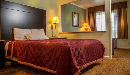 Suite básica, 1 cama de matrimonio grande