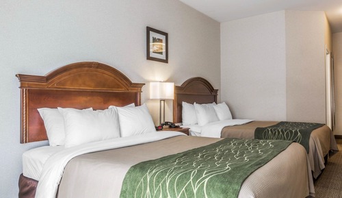 Habitación estándar, 2 camas de matrimonio, no fumadores
