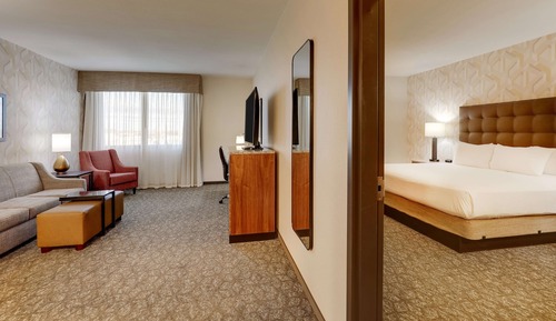 Suite, 1 cama de matrimonio grande con sofá cama, frigorífico y microondas (2 Rooms)