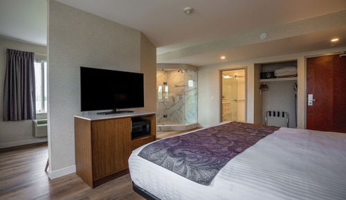 Suite estudio de lujo