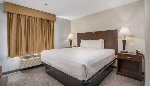 Habitación estándar, 1 cama de matrimonio grande, no fumadores, frigorífico y microondas