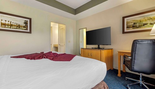 Suite, 1 cama de matrimonio grande, no fumadores, frigorífico y microondas