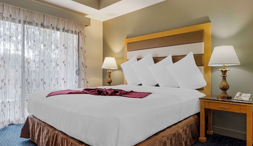 Suite, 1 cama de matrimonio grande, accesible para personas con discapacidad (with Sofabed)