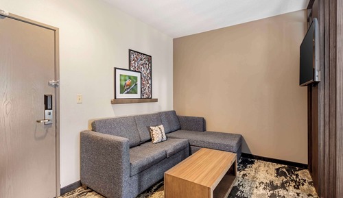 Suite, 1 cama de matrimonio grande, no fumadores, cocina (with Sofabed, Full Kitchen)