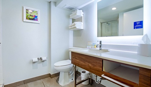 Suite, 1 cama de matrimonio grande, no fumadores