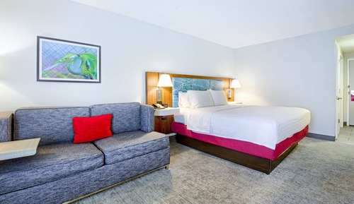 Habitación, 1 cama de matrimonio grande, accesible para personas con discapacidad, no fumadores