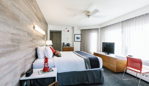 Habitación estándar, 1 cama de matrimonio grande (Pet Friendly)