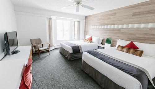 Habitación estándar, 2 camas de matrimonio (Pet Friendly)