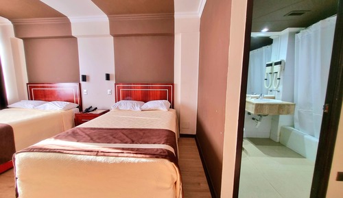Habitación ejecutiva con 2 camas individuales