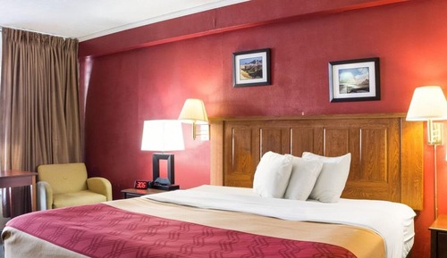 Habitación estándar, 1 cama de matrimonio grande, no fumadores (No Pets)