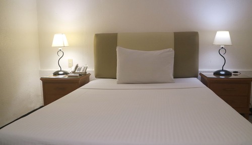 Habitación básica (1 Bed)