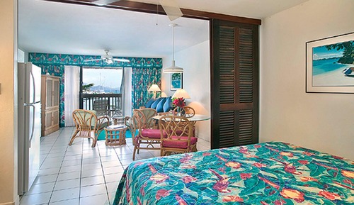 Suite estudio estándar, 1 cama de matrimonio grande con sofá cama, vistas al puerto (Yacht Harbor)