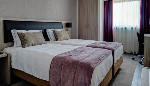 Habitación ejecutiva con 2 camas individuales