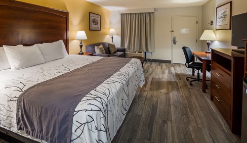 Habitación estándar, 1 cama de matrimonio grande, no fumadores, bañera de hidromasaje