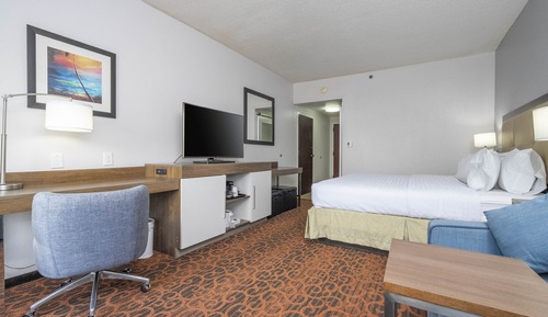 Habitación, 1 cama de matrimonio grande, accesible para personas con discapacidad, no fumadores