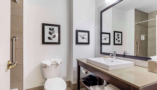 Suite, 1 habitación, no fumadores (Pet Friendly)