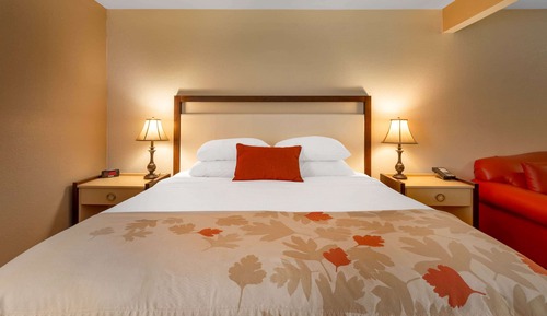 Suite, 1 cama de matrimonio