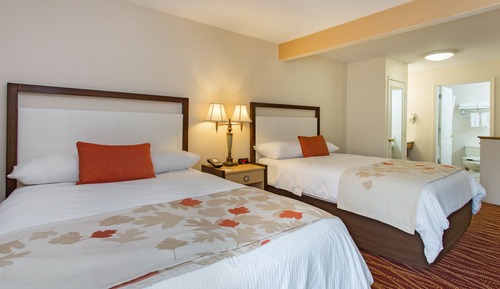 Habitación estándar, 2 camas de matrimonio