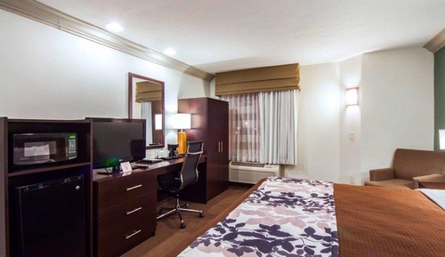 Habitación estándar, 1 cama de matrimonio grande, no fumadores