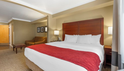 Suite, 1 cama de matrimonio grande con sofá cama, no fumadores (Top Floor)