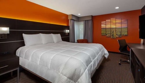Habitación estándar, 1 cama de matrimonio grande