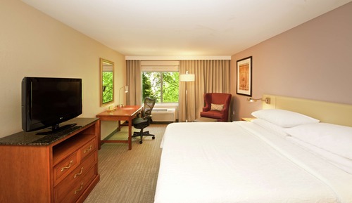 Hab. deluxe con cama matrim. extragrande
