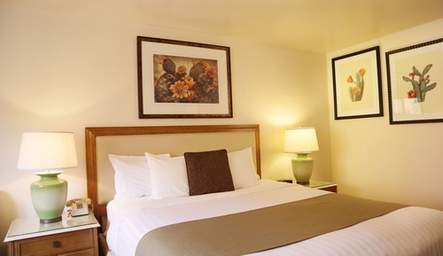 Habitación estándar, 1 cama de matrimonio grande